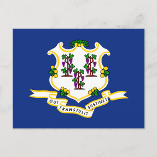 Staatsflagge von Connecticut Postkarte