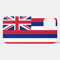 Staatsflagge von Hawaii