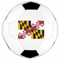 Staatsflagge von Maryland