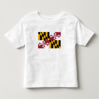 Staatsflagge von Maryland