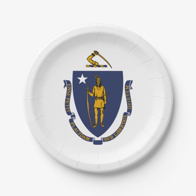 Staatsflagge von Massachusetts Pappteller (Vorderseite)