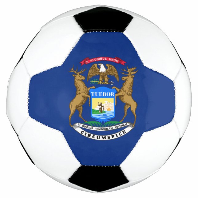 Staatsflagge von Michigan Fußball (Vorderseite)