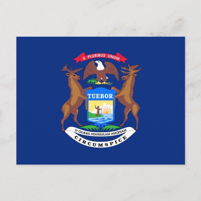 Staatsflagge von Michigan Postkarte (Vorderseite)