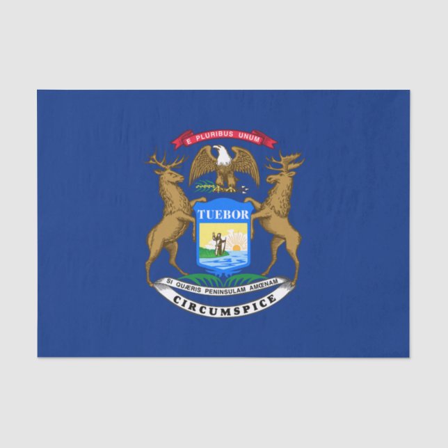 Staatsflagge von Michigan Seidenpapier (Vorderseite)