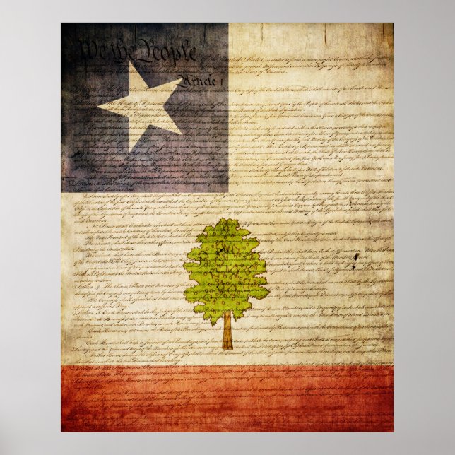 Staatsflagge von Mississippi 1861 Poster (Vorne)