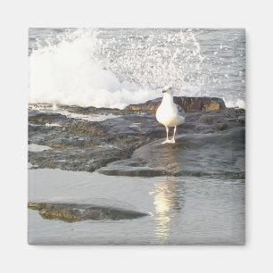 Stabiler Positions-Magnet Magnet