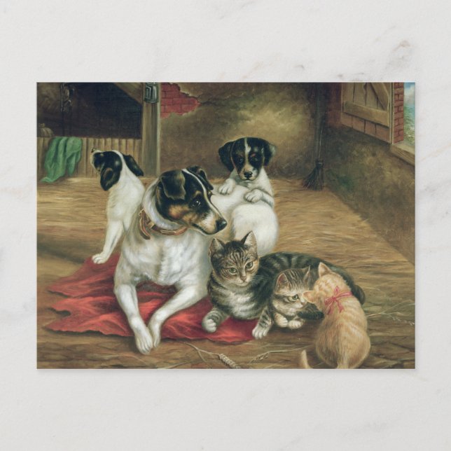 Stable Freunde Postkarte (Vorderseite)