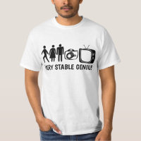 STABLE GENIUS Person Woman Man Camera TV
