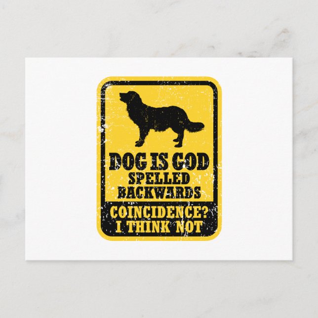 Stabyhoun Postkarte (Vorderseite)