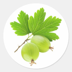 Stachelbeeren Runder Aufkleber