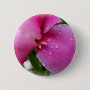 Stachelblatt im Regen Button