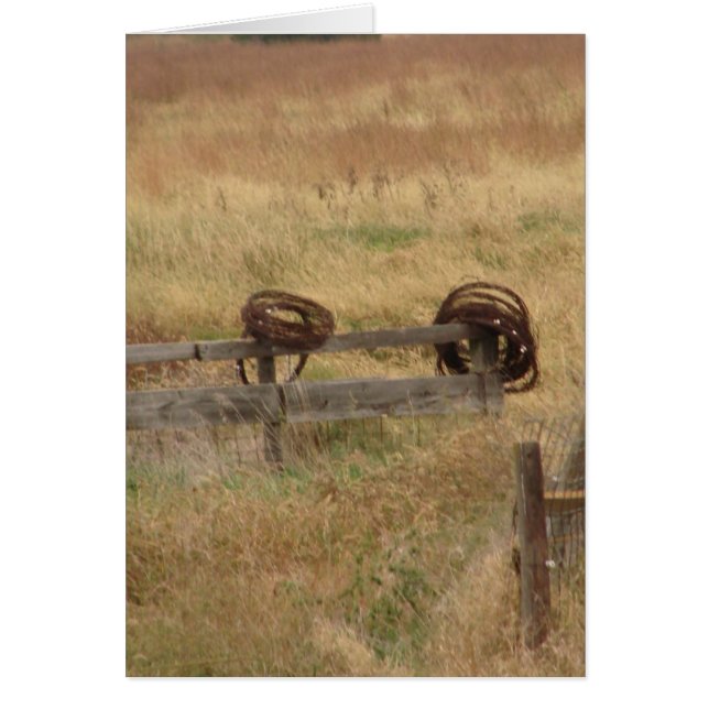 Stacheldraht (Vorne)