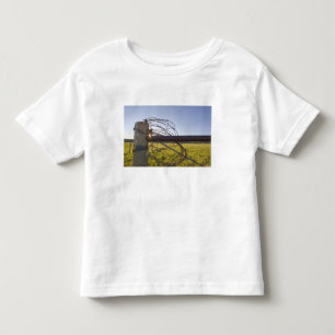 Stacheldraht auf Zaunreihe nahe zusammengerollt Kleinkind T-shirt