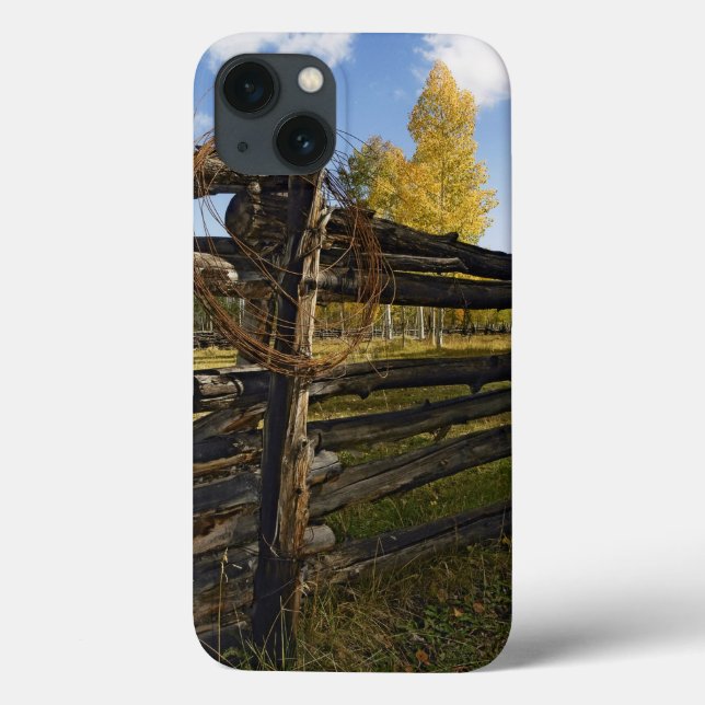 Stacheldraht Case-Mate iPhone Hülle (Rückseite)