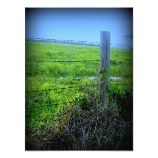 Stacheldraht Fotodruck
