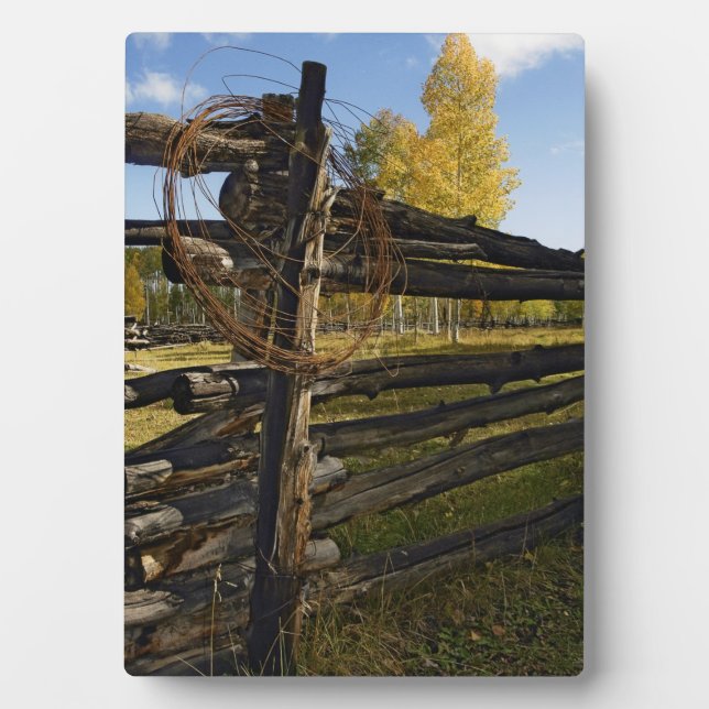 Stacheldraht Fotoplatte (Vorderseite)