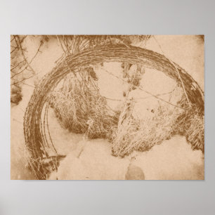 Stacheldraht im Winter Poster