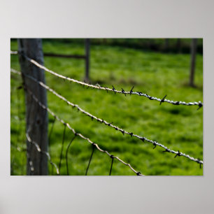 Stacheldraht Poster