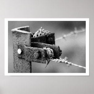 Stacheldrahtzaun Poster