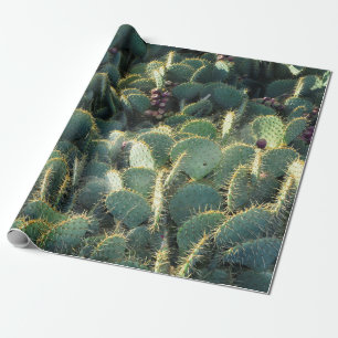 Stachelige Kakteen Geschenkpapier
