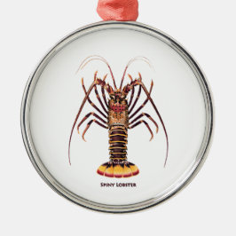 Stacheliger Hummer (asiatisch-pazifisch) Ornament Aus Metall