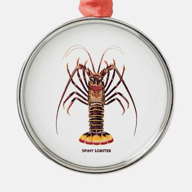 Stacheliger Hummer (asiatisch-pazifisch) Ornament Aus Metall (Vorne)