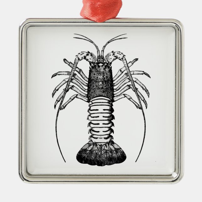 Stacheliger Hummer (Kalifornien) Silbernes Ornament (Vorne)