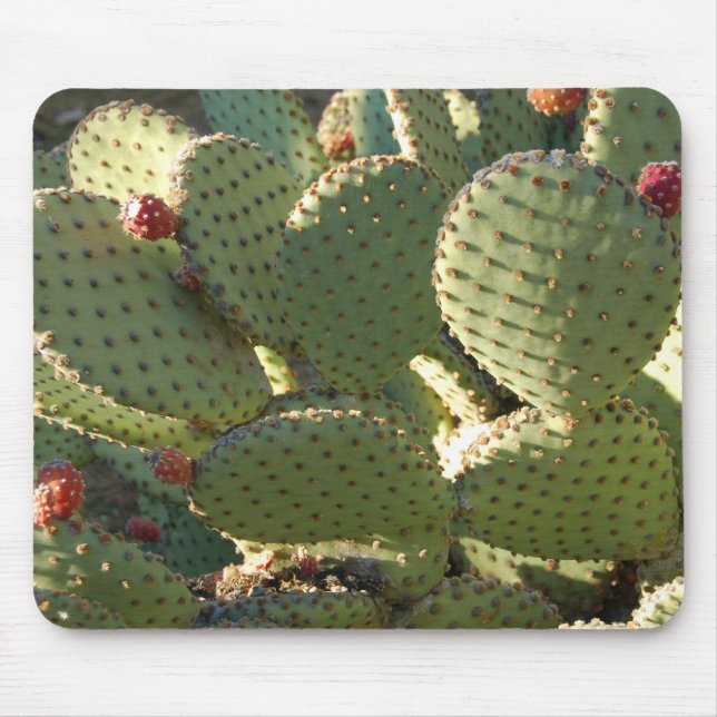 Stacheliges Mousepad (Vorne)