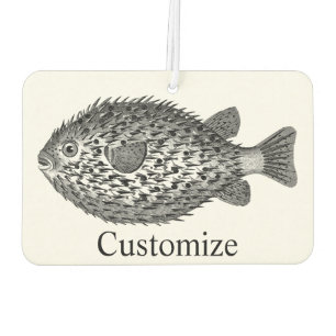 Stachelschwein Kugelfisch  Thunder_Cove  Autolufterfrischer