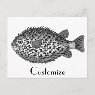 Stachelschwein Kugelfisch Thunder_Cove Postkarte