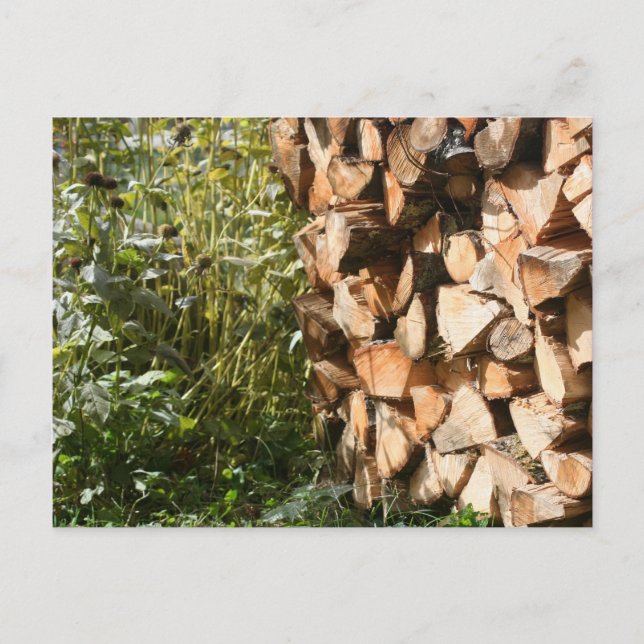 Stacks Firewood Nature Fotografy Postcard Postkarte (Vorderseite)