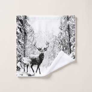 Stade Deer Winter Forest Faune Animal Nature art