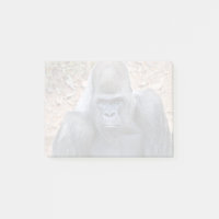 Stadi im Zoo Atlanta (2023)