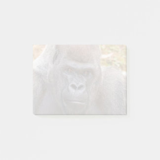 Stadi im Zoo Atlanta (2023) Post-it Klebezettel