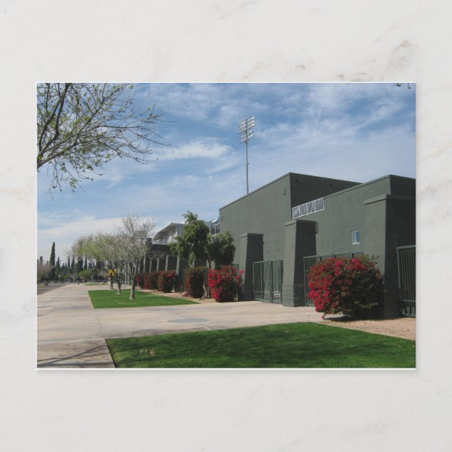 Stadion Postcard Arizona Cactus League Postkarte (Vorderseite)