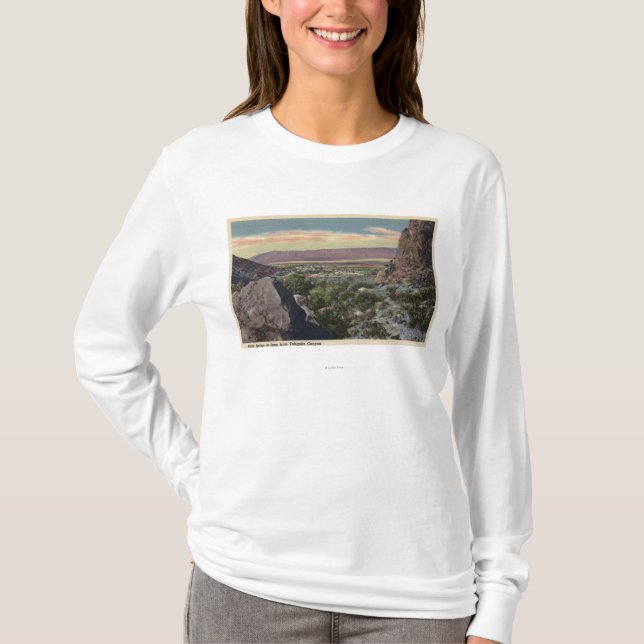 Stadt-Ansicht von Tahquitz Schlucht T-Shirt (Vorderseite)
