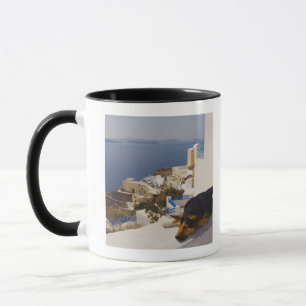 Stadt Griechenlands, Santorini Insel, Oia, Tasse