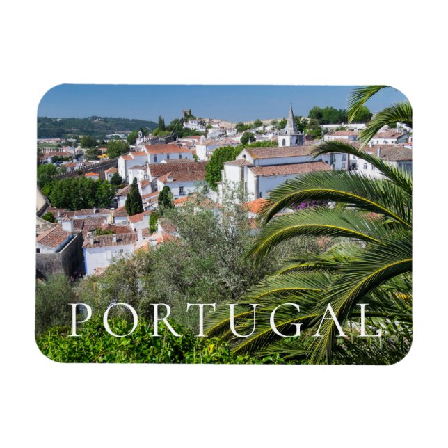 Stadtbild von Aveiro, Portugal Magnet (Horizontal)