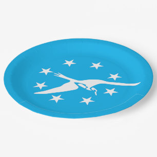 Stadtflagge Corpus Christi Pappteller