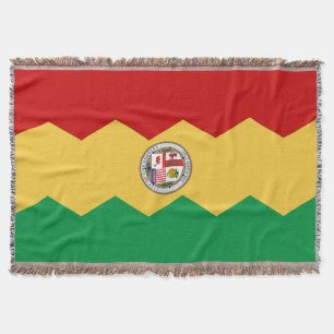Stadtflagge Los Angeles Decke