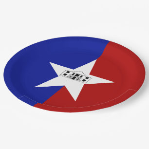 Stadtflagge San Antonio Pappteller