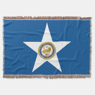 Stadtflagge von Houston Decke