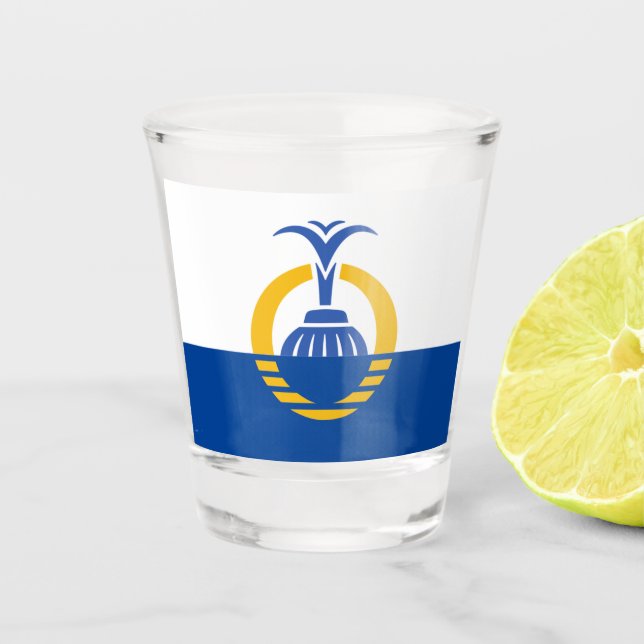 Stadtflagge von Orlando Schnapsglas (Vorderseite)