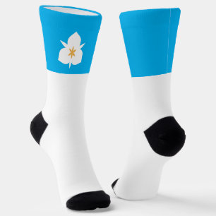 Stadtflagge von Salt Lake City (Utah) Socken