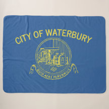 Stadtflagge von Waterbury (Connecticut)