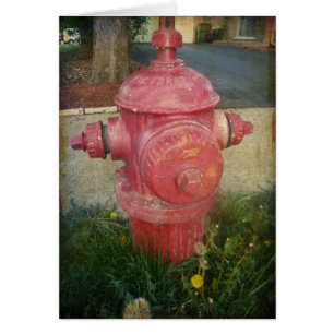 Städtische behandelte Hydrant-Karte