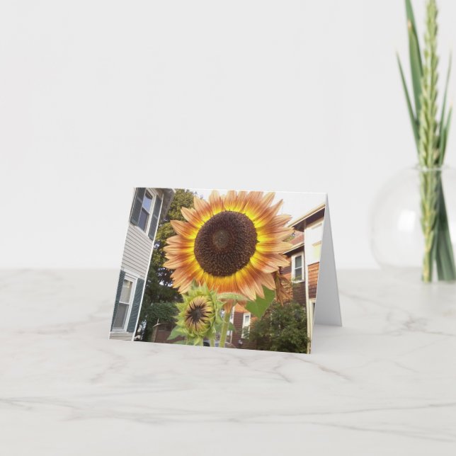 Städtische Gärten Notecard Karte (Vorderseite)