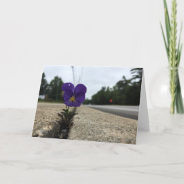 Städtische Wildblume-Grußkarte (innen leer) Karte