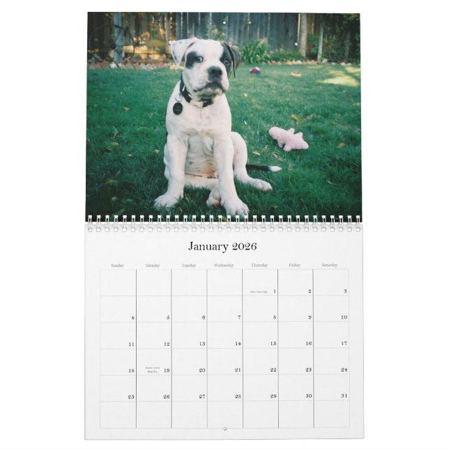 Städtischer Doo Abbruch Kalender (Jan 2026)