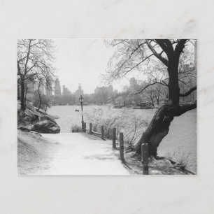 Städtischer Park mit ruhiger See Postkarte